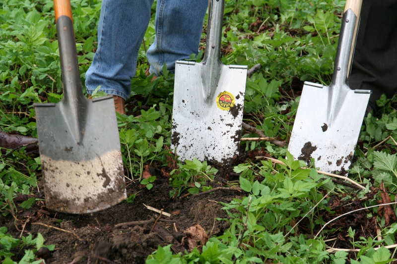 pepiniere-LE MUY-min_work-lawn-flower-tool-green-backyard-1103633-pxhere.com